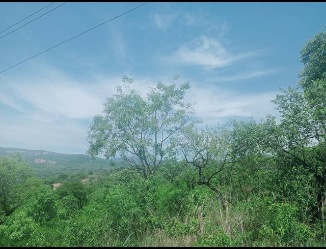 4.70HA SMALLHOLDING SOLD IN KARINO
